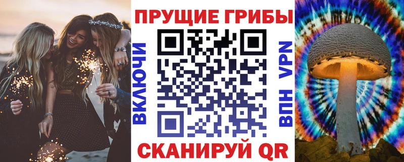 Псилоцибиновые грибы прущие грибы  где можно купить   Енисейск 